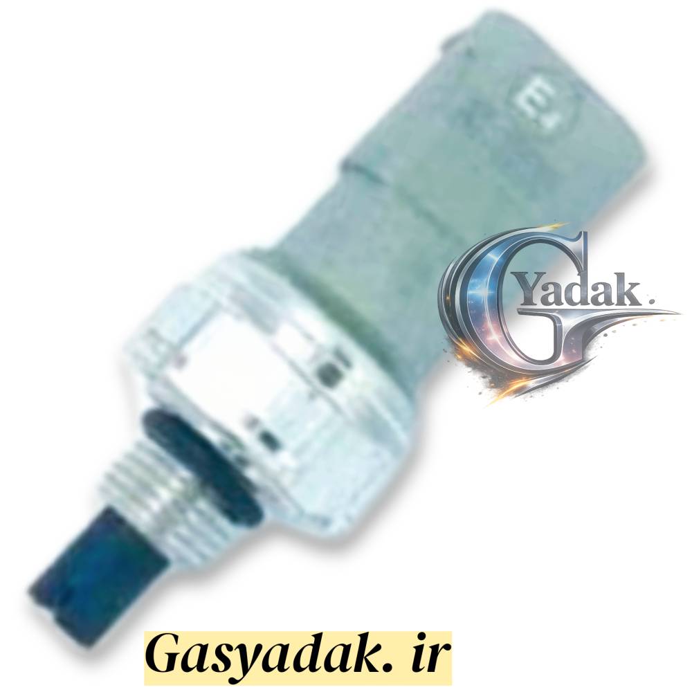 ۲۰۲۶۰۶۲۹۱۸۱۹۳۳۰۰۳ سنسور فشار ریل SAX ۵۰۰ - Image 1